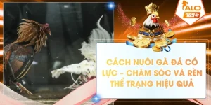cach nuoi ga da co luc cham soc va ren the trang hieu qua