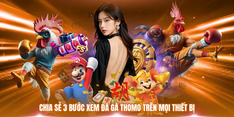 Chia sẻ 3 bước xem đá gà Thomo trên mọi thiết bị