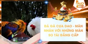 da ga cua dao man nhan voi nhung man so tai dang cap