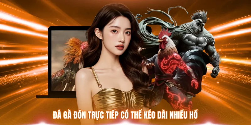 Đá gà đòn trực tiếp có thể kéo dài nhiều hồ