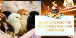 da ga don truc tiep trai nghiem dam chat chien thuat