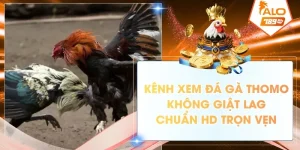 kenh xem da ga thomo khong giat lag chuan hd tron ven