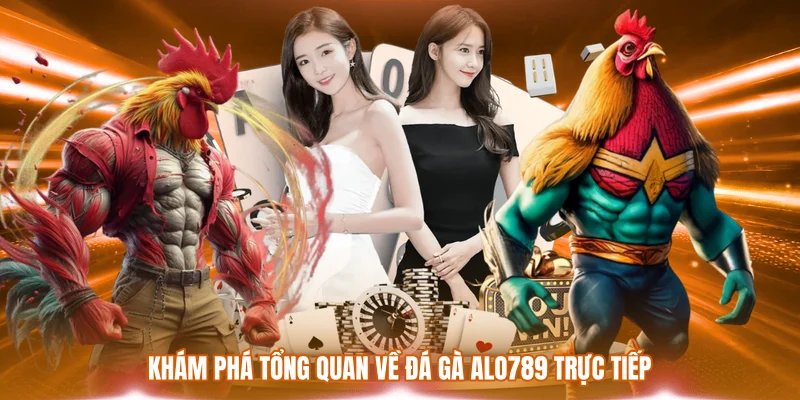 Đá Gà ALO789 Trực Tiếp - Sảnh Cược Chiến Kê Đỉnh Cao 2026 1 Khám phá tổng quan về đá gà ALO789 trực tiếp