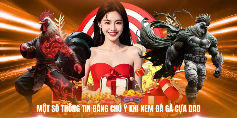 Một số thông tin đáng chú ý khi xem đá gà cựa dao
