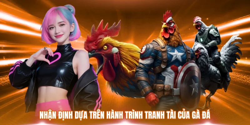 Nhận định dựa trên hành trình tranh tài của gà đá