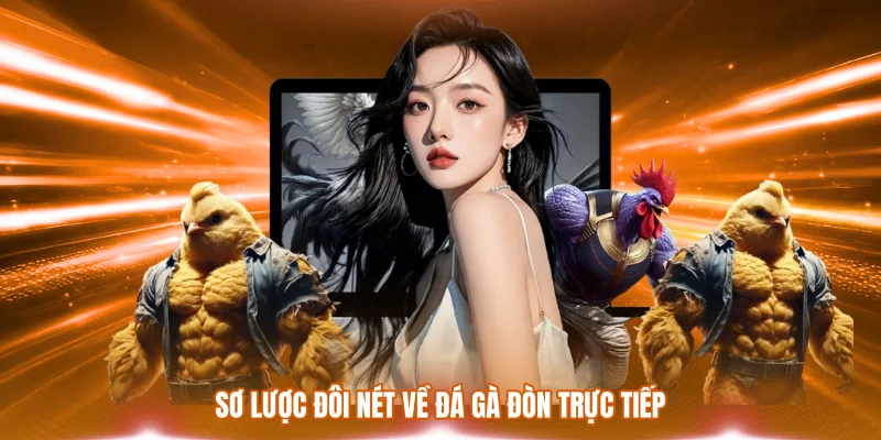 Sơ lược đôi nét về đá gà đòn trực tiếp
