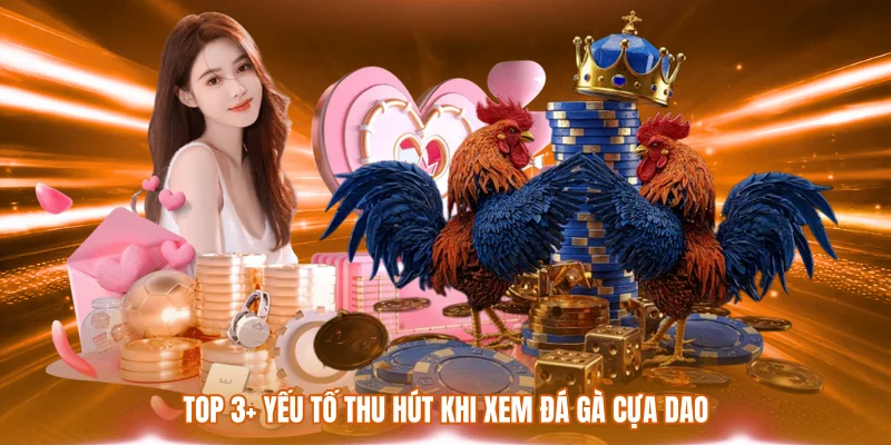Top 3+ yếu tố thu hút khi xem đá gà cựa dao