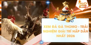 xem da ga thomo trai nghiem giai tri hap dan nhat 2026