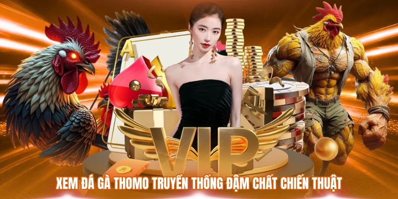Xem đá gà Thomo truyền thống đậm chất chiến thuật
